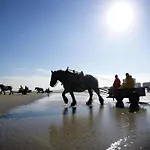 In Near Sandy Beaches Nieuwpoort