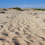 In Near Sandy Beaches *