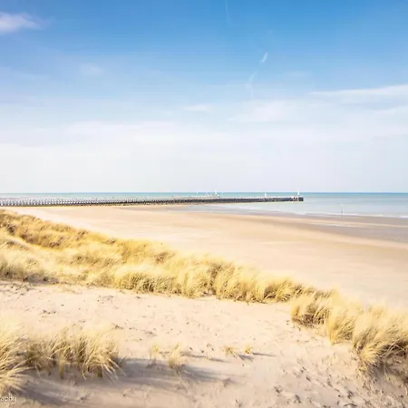 In Near Sandy Beaches *