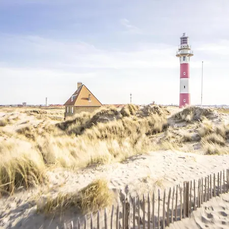 In Near Sandy Beaches *