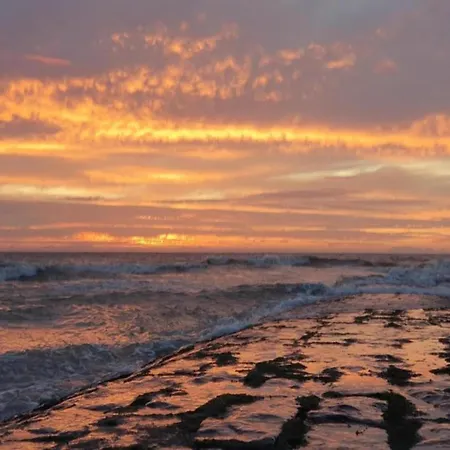 In Near Sandy Beaches