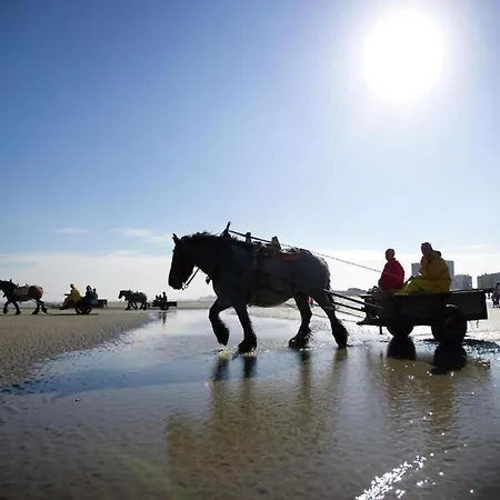 In Near Sandy Beaches Nieuwpoort