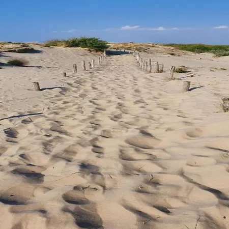 In Near Sandy Beaches *