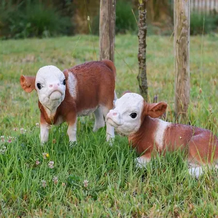 アパート In Near Sandy Beaches *